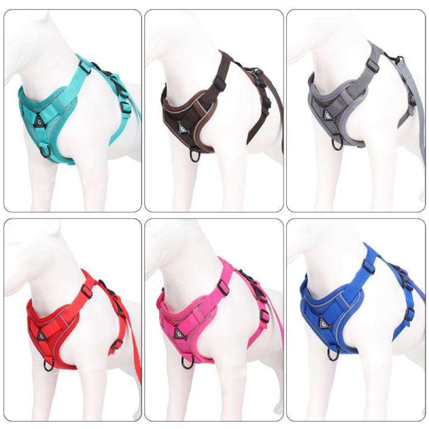 Pet Chest Strap Rope/Harness (Multi Color)
