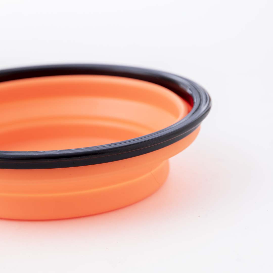 Foldable Pet Bowl -1000 ml