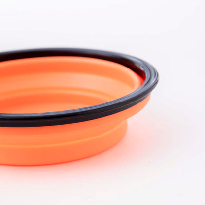 Foldable Pet Bowl -1000 ml