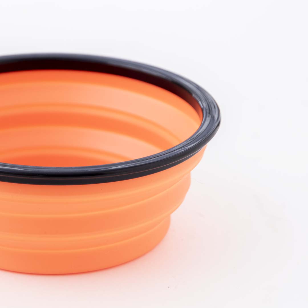 Foldable Pet Bowl -1000 ml