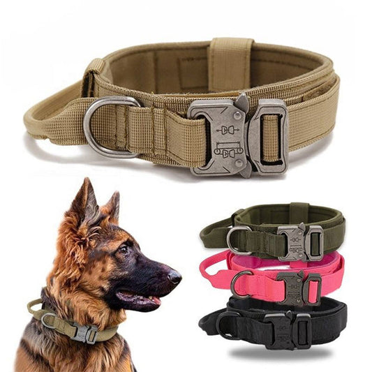Tactical Dog Collar With Metal Buckle And D-Ring - Medium & Large Breeds (Multicolor)